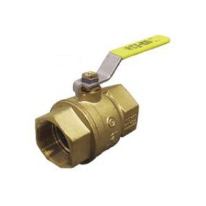 T100 Ball Valves